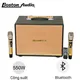Loa Xách Tay Hiệu Boston Audio BA 9999 VII
