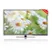 Skyworth Tivi LED 24 Inch 24E66