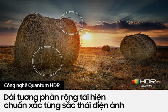 Smart Tivi Samsung QLED 4K 65 Inch QA65Q60B 9