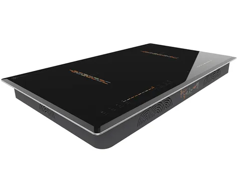 Bếp Đôi Hawonkoo CEH-204-IF - Thái Lan 2