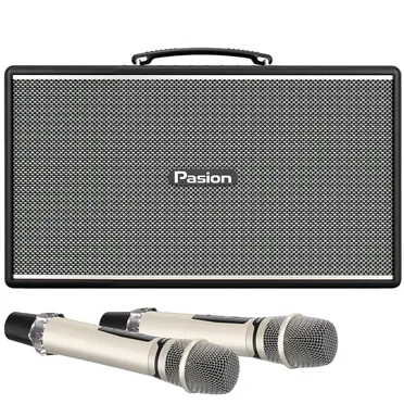 Loa Di Động Xách Tay Paramax PASION Enzo (Black Leather) 0