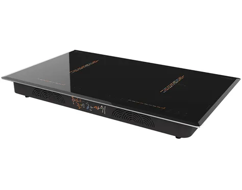 Bếp Đôi Hawonkoo CEH-204-IF - Thái Lan 0