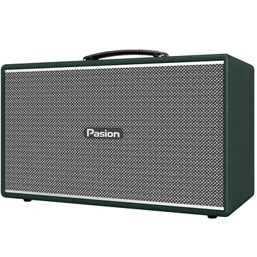 Loa Di Động Xách Tay Paramax PASION Enzo (Green Leather) 0