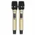 Loa Di Động Xách Tay Paramax PASION 2c (Màu Đen) 2
