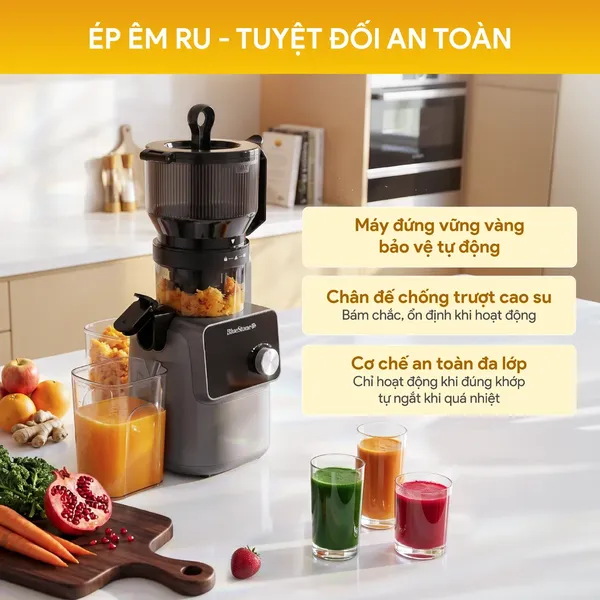 Máy Ép Chậm BlueStone SJB-6555 300W
