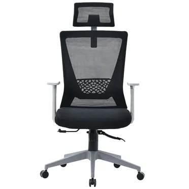 Ghế Văn Phòng Công Thái Học ECOOC-2108 Đen