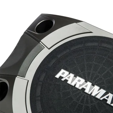 Loa Paramax P-850 2
