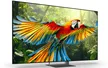 Google TiVi True RGB Sony 75 Inch BRAVIA 7 II K-75XR70M2