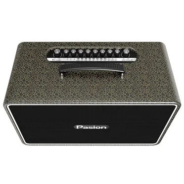 Loa Di Động Xách Tay Paramax PASION Arte (Golden Black) 1