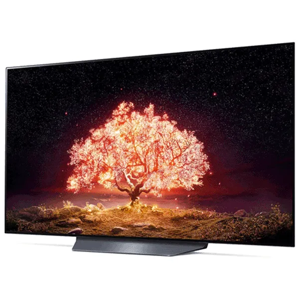 LG Smart Tivi OLED 4K 55 Inch 55B1PTA