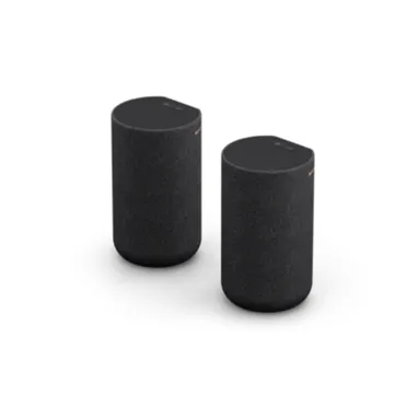 Loa Sau Không Dây Sony Tùy Chọn SA-RS5//C SP1 3