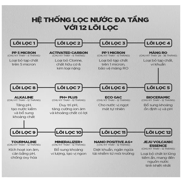Máy Lọc Nước Nóng Lạnh Cuckoo 12 Lõi RO CP-BRPV1201S/BKCRVNCV