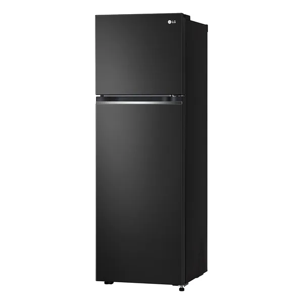 Tủ Lạnh LG Inverter 266 Lít GV-B262BL