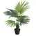 Chậu Cây Cọ Jws2895