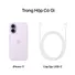 iPhone 17 512GB