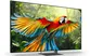 Google TiVi True RGB Sony 65 Inch BRAVIA 7 II K-65XR70M2 3
