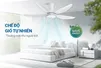 Quạt Trần 5 Cánh Có Đèn Sunhouse Apex APF7676W 60W