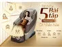 Ghế Massage Fuji Luxury FJ-2900