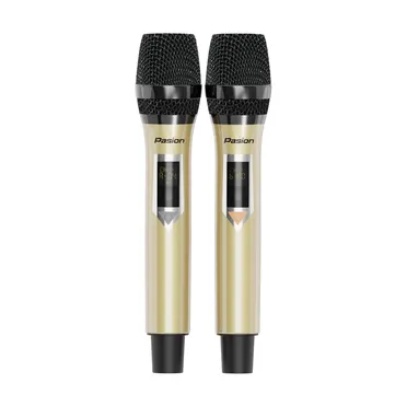 Loa Di Động Xách Tay Paramax PASION 2 5