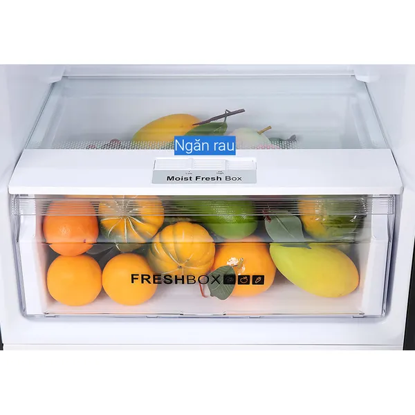 Tủ Lạnh Aqua Inverter 318 Lít AQR-T369FA (WGB)