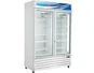 Tủ Đông Alaska 745 Lít IF-700G2