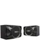 Loa Paramax P-1000