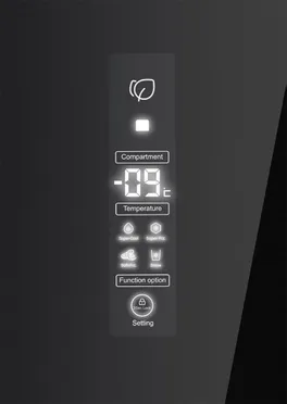 Tủ Lạnh Aqua Inverter 291 Lít AQR-T329MA(GB) 3