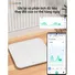 Cân Điện Tử Lumias Scale G25